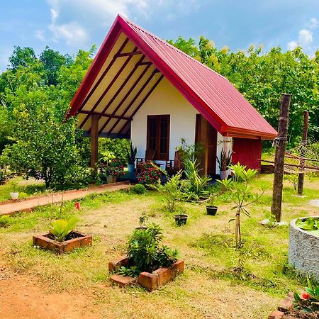 Sigiri Enaya Cottage Sigiriya Exterior photo