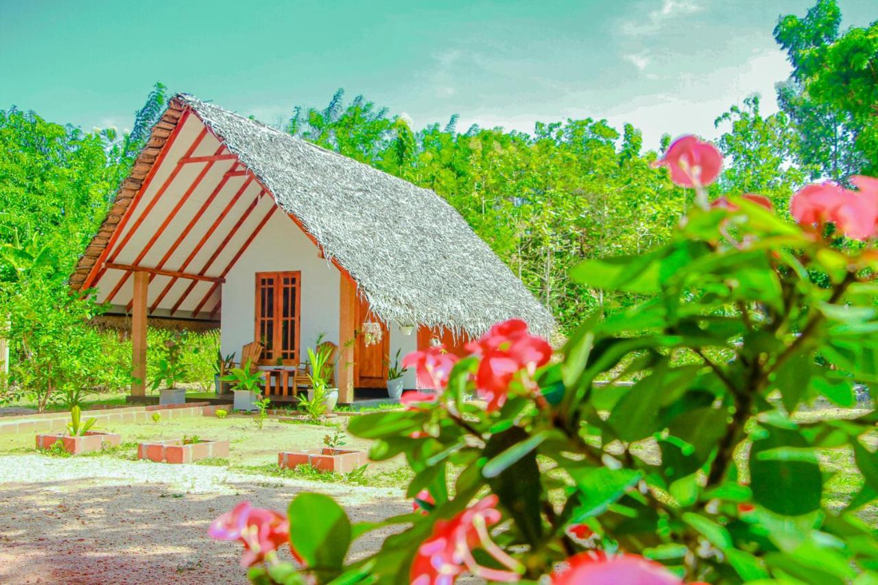 Sigiri Enaya Cottage Sigiriya Exterior photo