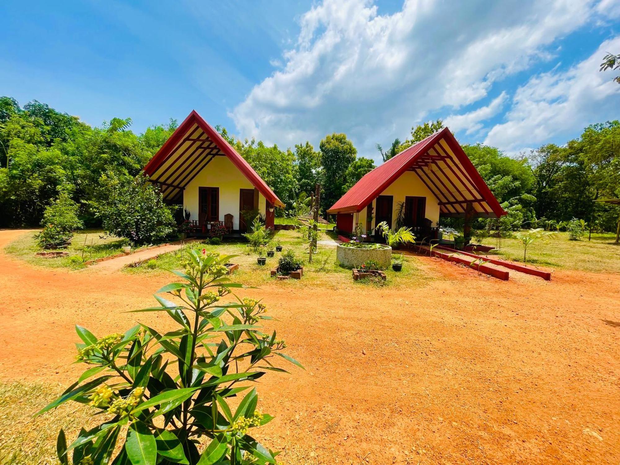 Sigiri Enaya Cottage Sigiriya Exterior photo