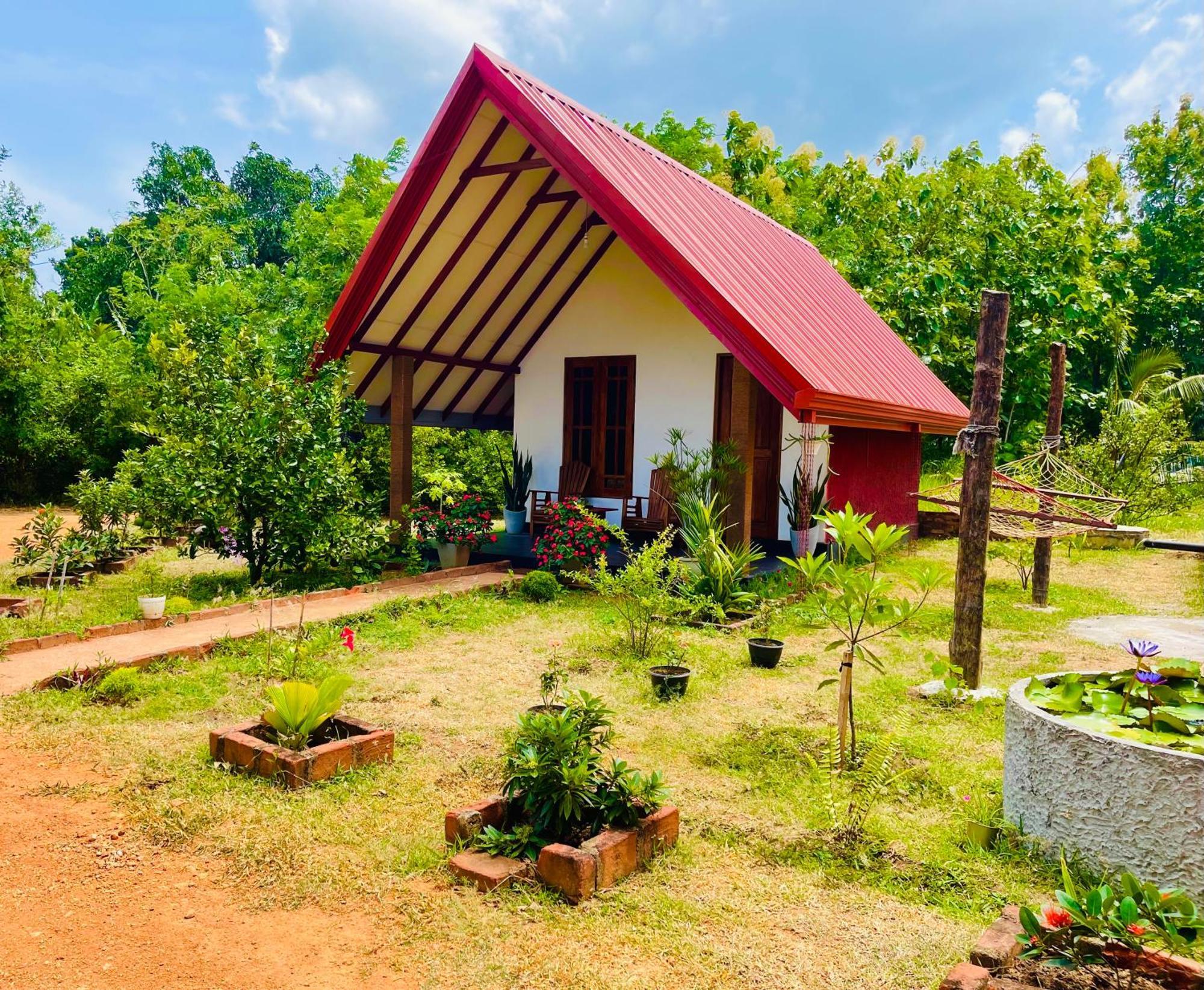 Sigiri Enaya Cottage Sigiriya Exterior photo